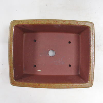 Bonsai bowl 21 x 17 x 6.5 cm, color ocher - 3