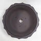 Bonsai bowl 30 x 30 x 12 cm, color brown - 3/3