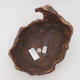 Ceramic shell 16 x 14.5 x 16 cm, color brown - 3/3