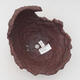Ceramic shell 15.5 x 16 x 15.5 cm, color brown - 3/3