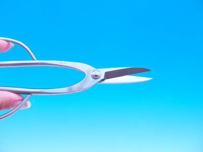Scissors width 200 mm - Stainless steel + case FREE - 3