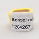 Mini bonsai bowl 2 x 2 x 1.5 cm, color yellow - 4/4