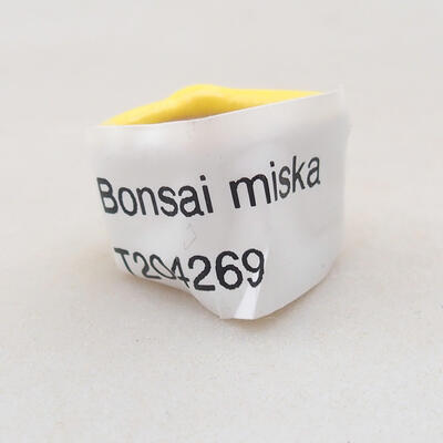 Mini bonsai bowl 2 x 2 x 1.5 cm, color yellow - 4