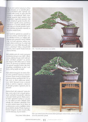 Bonsai and Japanese Gardens No.66 - 4