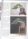 Bonsai and Japanese Gardens No.66 - 4/4