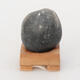 Suiseki - Stone with DAI (wooden pad) - 4/5