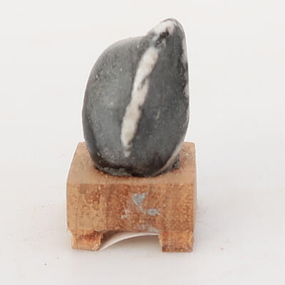 Suiseki - Stone with DAI (wooden pad) - 4