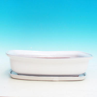 Bonsai bowl tray H10 - bowl 37 x 27 x 10 cm, tray 34 x 23 x 2 cm, white - bowl 37 x 27 x 10 cm, tray 34 x 23 x 2 cm - 4