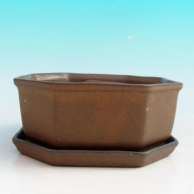 Bonsai bowl + tray H 13 - bowl11,5 x 11,5 x 4,5 cm, tray 11,5 x 11,5 x 1 cm, black - bowl 11,5 x 11,5 x 4,5 cm, tray 11,5 x 11,5 x 1 cm - 4