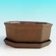 Bonsai bowl + tray H 13 - bowl11,5 x 11,5 x 4,5 cm, tray 11,5 x 11,5 x 1 cm, black - bowl 11,5 x 11,5 x 4,5 cm, tray 11,5 x 11,5 x 1 cm - 4/4