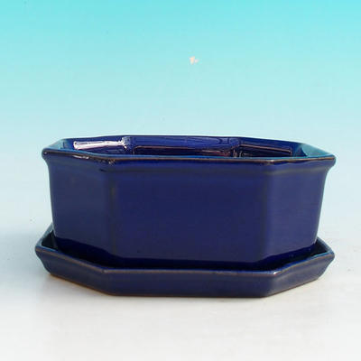 Bonsai bowl + tray H 13 - bowl11,5 x 11,5 x 4,5 cm, tray 11,5 x 11,5 x 1 cm, blue - bowl 11,5 x 11,5 x 4,5 cm, tray 11,5 x 11,5 x 1 cm - 4
