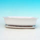 Bonsai bowl + tray H02 - tray 19 x 13,5 x 5 cm, tray 17 x 12 x 1 cm, white - bowl 19 x 13,5 x 5 cm, tray 17 x 12 x 1 cm - 4/4