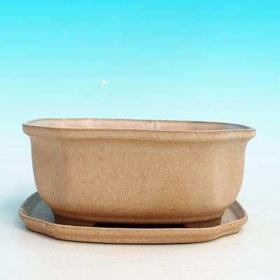 Bonsai bowl tray H32 - bowl 12.5 x 10.5 x 6 cm, tray 12.5 x 10.5 x 1 cm, beige bowl 12.5 x 10.5 x 6 cm, tray 12.5 x 10.5 x 1 cm - 4