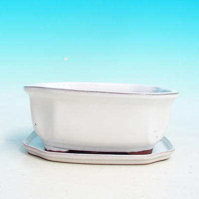 Bonsai bowl H31 - bowl 14,5 x 12,5 x 6 cm, bowl 14,5 x 12,5 x 1 cm, white  - bowl 14,5 x 12,5 x 6 cm, tray 14,5 x 12,5 x 1 cm - 4