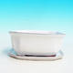 Bonsai bowl H31 - bowl 14,5 x 12,5 x 6 cm, bowl 14,5 x 12,5 x 1 cm, white  - bowl 14,5 x 12,5 x 6 cm, tray 14,5 x 12,5 x 1 cm - 4/4