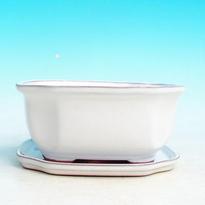 Bonsai bowl tray H32 - bowl 12.5 x 10.5 x 6 cm, tray 12.5 x 10.5 x 1 cm, white bowl 12.5 x 10.5 x 6 cm, tray 12.5 x 10.5 x 1 cm - 4