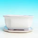Bonsai bowl tray H32 - bowl 12.5 x 10.5 x 6 cm, tray 12.5 x 10.5 x 1 cm, white bowl 12.5 x 10.5 x 6 cm, tray 12.5 x 10.5 x 1 cm - 4/4