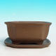 Bonsai bowl tray H32 - bowl 12.5 x 10.5 x 6 cm, tray 12.5 x 10.5 x 1 cm, brown bowl 12.5 x 10.5 x 6 cm, tray 12.5 x 10.5 x 1 cm - 4/4