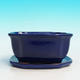 Bonsai bowl tray H32 - bowl 12.5 x 10.5 x 6 cm, tray 12.5 x 10.5 x 1 cm, blue bowl 12.5 x 10.5 x 6 cm, tray 12.5 x 10.5 x 1 cm - 4/4