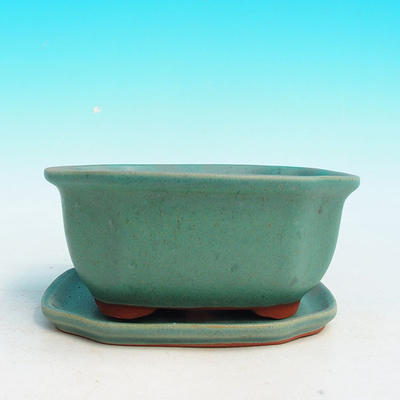 Bonsai bowl tray H32 - bowl 12.5 x 10.5 x 6 cm, tray 12.5 x 10.5 x 1 cm, green bowl 12.5 x 10.5 x 6 cm, tray 12.5 x 10.5 x 1 cm - 4