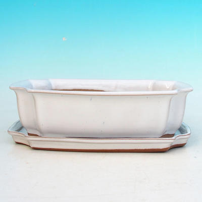 Bonsai bowl tray H03 - 16,5 x 11,5 x 5 cm, tray 16,5 x 11,5 x 1 cm, white - 16.5 x 11.5 x 5 cm, tray 16.5 x 11.5 x 1 cm - 4