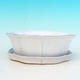 Bonsai bowl tray H06 - bowl 14,5 x 14,5 x 4,5, tray 13,5 x 13,5 x 1,5 cm, green - bowl 14,5 x 14,5 x 4,5, tray 13,5 x 13,5 x 1,5 cm - 4/4