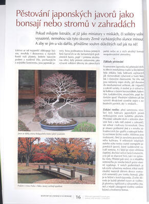 Bonsai and Japanese Gardens No.63 - 5