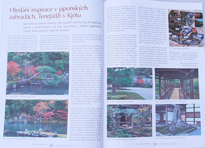 Bonsai and Japanese Garden No.48 - 6
