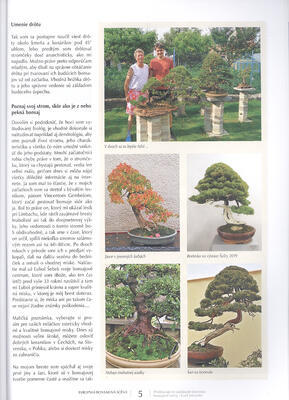 Bonsai and Japanese Gardens No.67 - 6