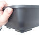 Bonsai bowl plastic MP-9 black - 23 x 19 x 9 cm - 6/6