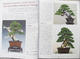Bonsai and Japanese Garden Set of 7 numbers 46,47,48,49,50,51,52 - 7/7